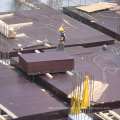 La película marrón de 20m m hizo frente a la madera contrachapada para el mercado de Israel de la cubierta del molde del encofrado del hormigón de la construcción